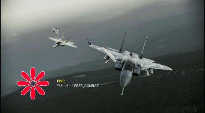 エースコンバットインフィニティ F-15 S/MTD